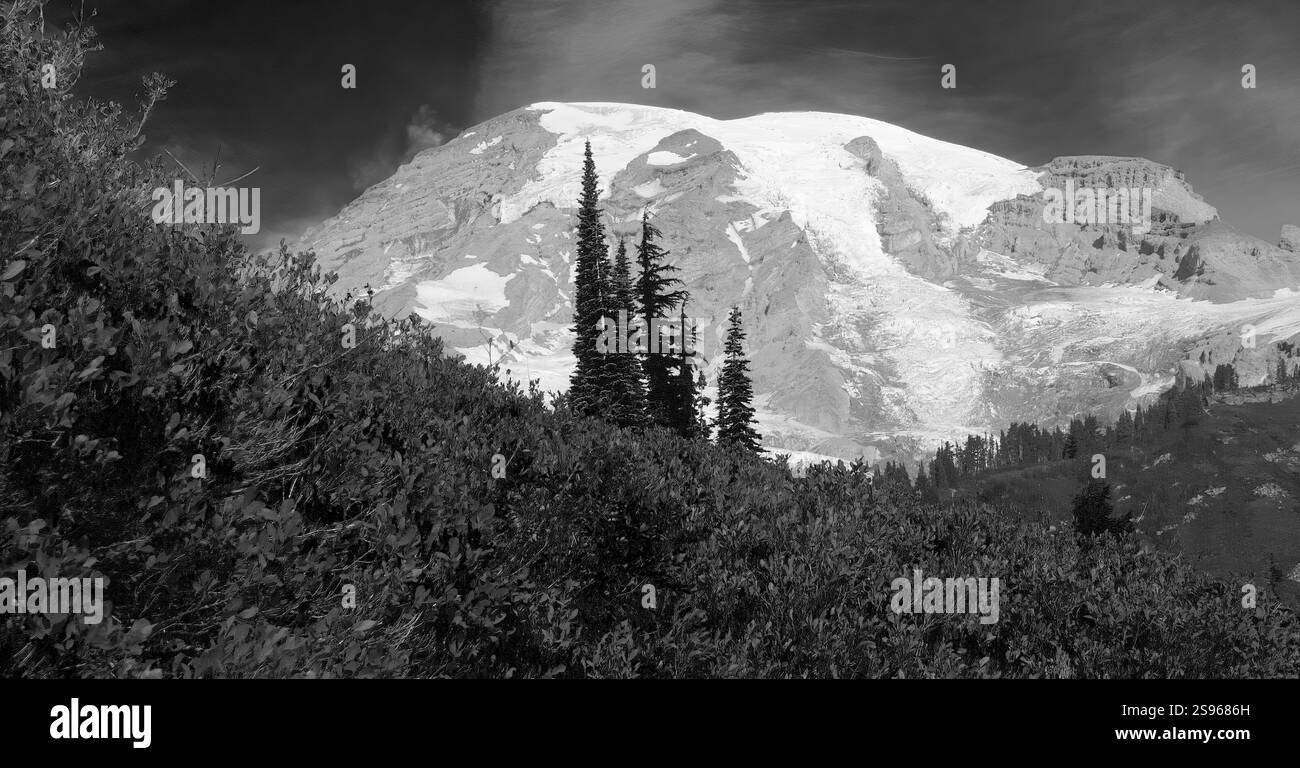 Etat de Washington, parc national de Mount Rainier. Couleur automnale et enneigée Mont Rainier Banque D'Images