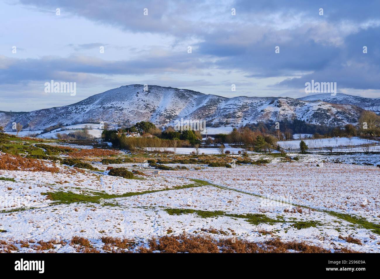 Vue hivernale du Lawley, une partie des collines du Shropshire, paysage national Banque D'Images