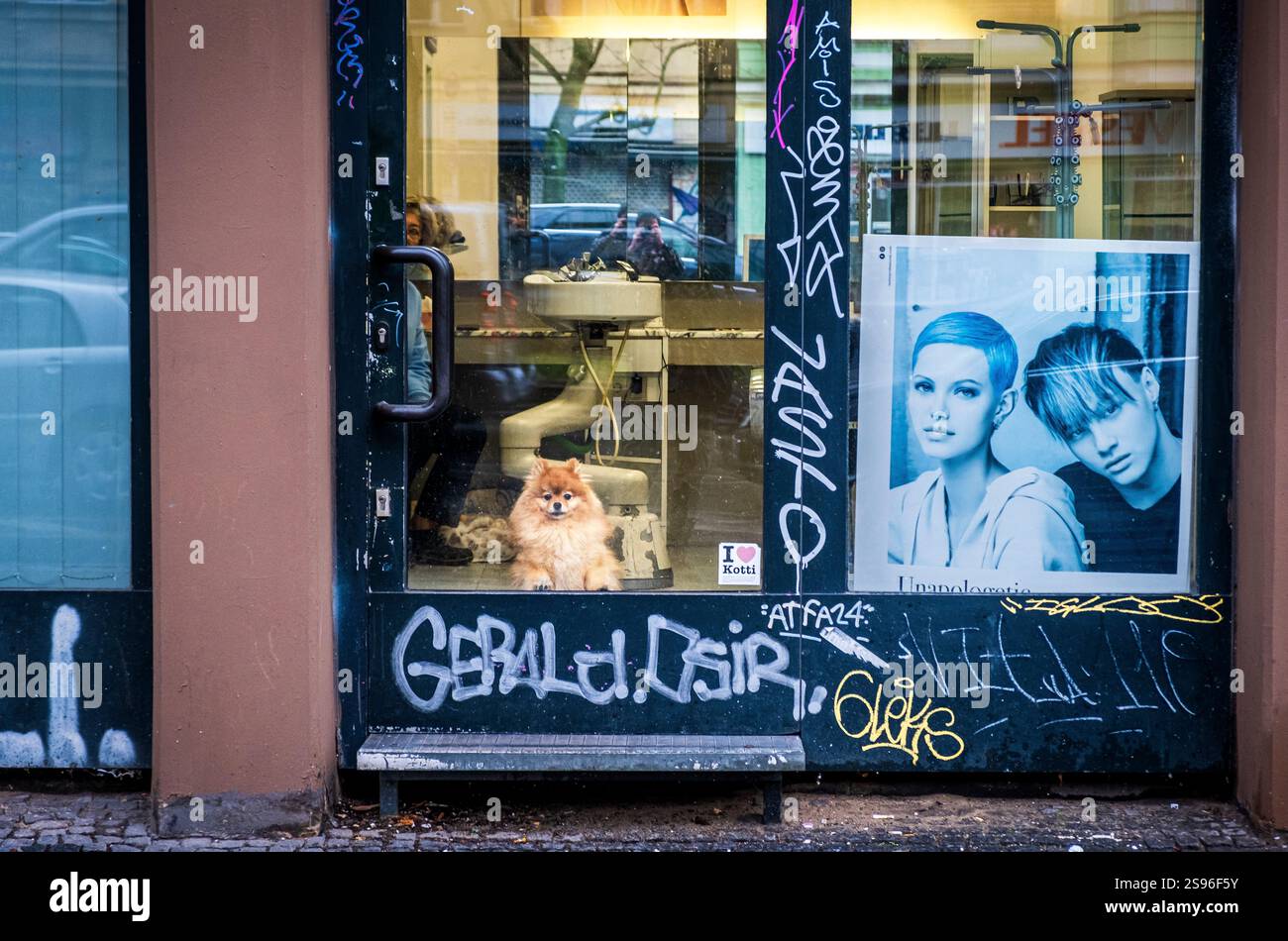 Un chien poméranien mignon regarde par une fenêtre à Neukölln, Berlin, Allemagne Banque D'Images