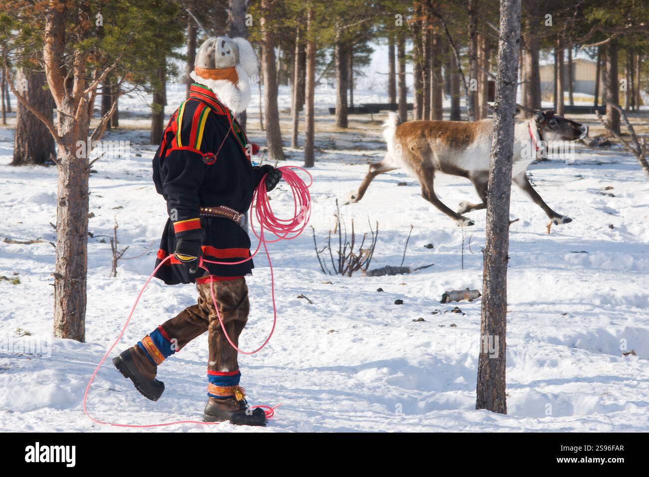 Maak kennis met de Sami in Lapland - , de Scandinaviëspecialist Maak kennis met de Sami in Lapland - , de Scandinaviëspecialist