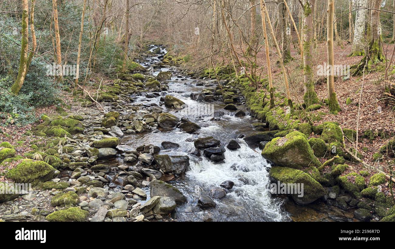 The Birks of Aberfeldy Famous Walk le long de Moness Burn où Robert Burns a écrit sa chanson d'amour écossaise en 1787. Destination touristique et emplacement naturel - Image de stock capturée avec un smartphone