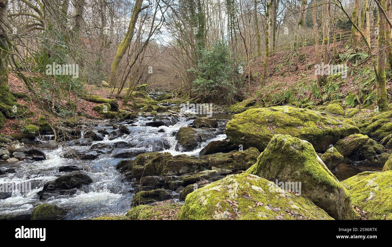 The Birks of Aberfeldy Famous Walk le long de Moness Burn où Robert Burns a écrit sa chanson d'amour écossaise en 1787. Destination touristique et emplacement naturel - Image de stock capturée avec un smartphone