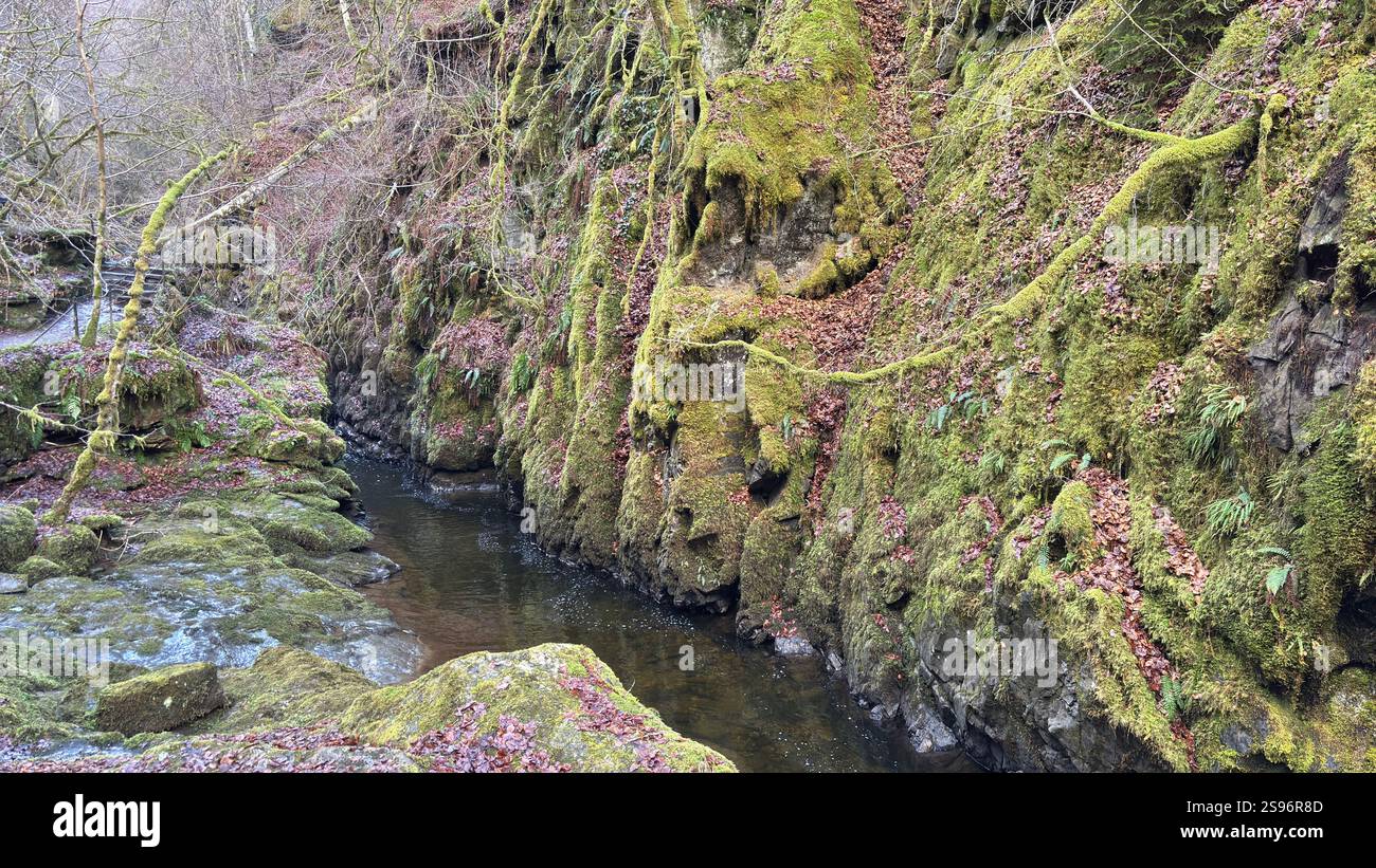 The Birks of Aberfeldy Famous Walk le long de Moness Burn où Robert Burns a écrit sa chanson d'amour écossaise en 1787. Destination touristique et emplacement naturel - Image de stock capturée avec un smartphone