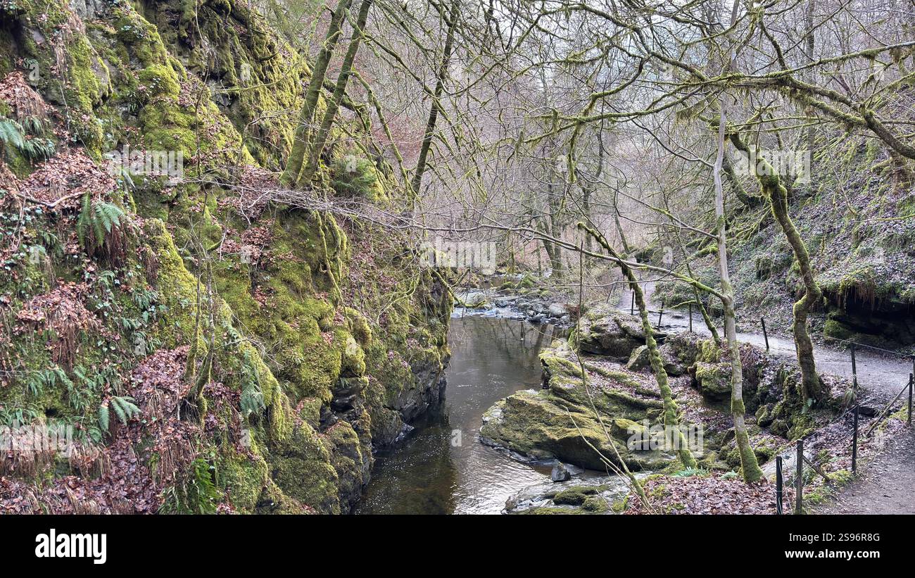 The Birks of Aberfeldy Famous Walk le long de Moness Burn où Robert Burns a écrit sa chanson d'amour écossaise en 1787. Destination touristique et emplacement naturel - Image de stock capturée avec un smartphone