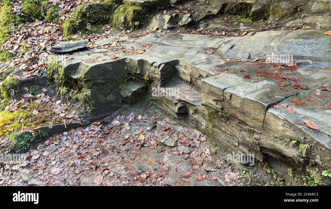 Grotte rocheuse naturelle où Robert Burns a écrit sa chanson d'amour écossaise en 1787, The Birks of Aberfeldy. Destination touristique et emplacement naturel. - Image de stock capturée avec un smartphone