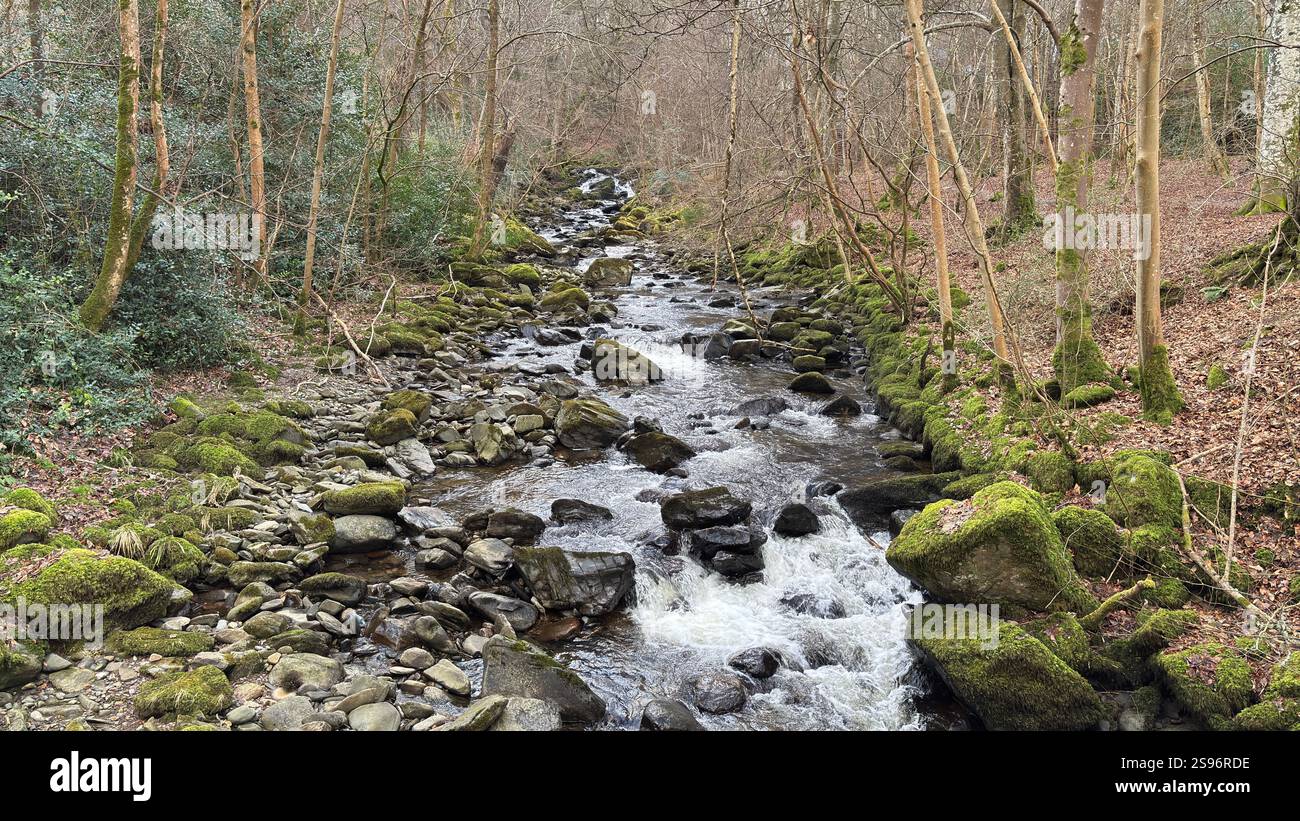 The Birks of Aberfeldy Famous Walk le long de Moness Burn où Robert Burns a écrit sa chanson d'amour écossaise en 1787. Destination touristique et emplacement naturel - Image de stock capturée avec un smartphone