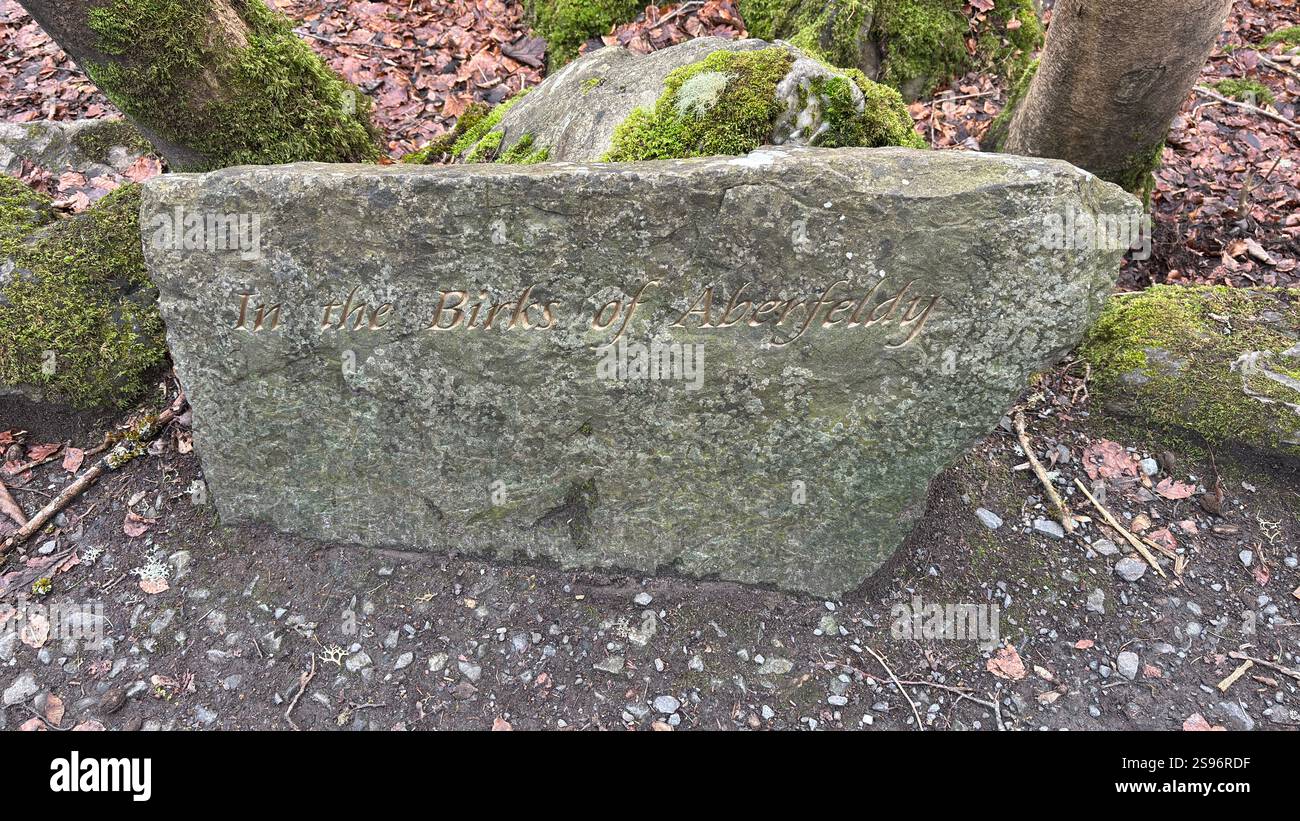 Monument en pierre à Robert Burns dans le parc Lower Birks. Près de la célèbre promenade Birks of Aberfeldy où Robert Burns a écrit sa chanson d'amour écossaise 1787 - Image de stock capturée avec un smartphone