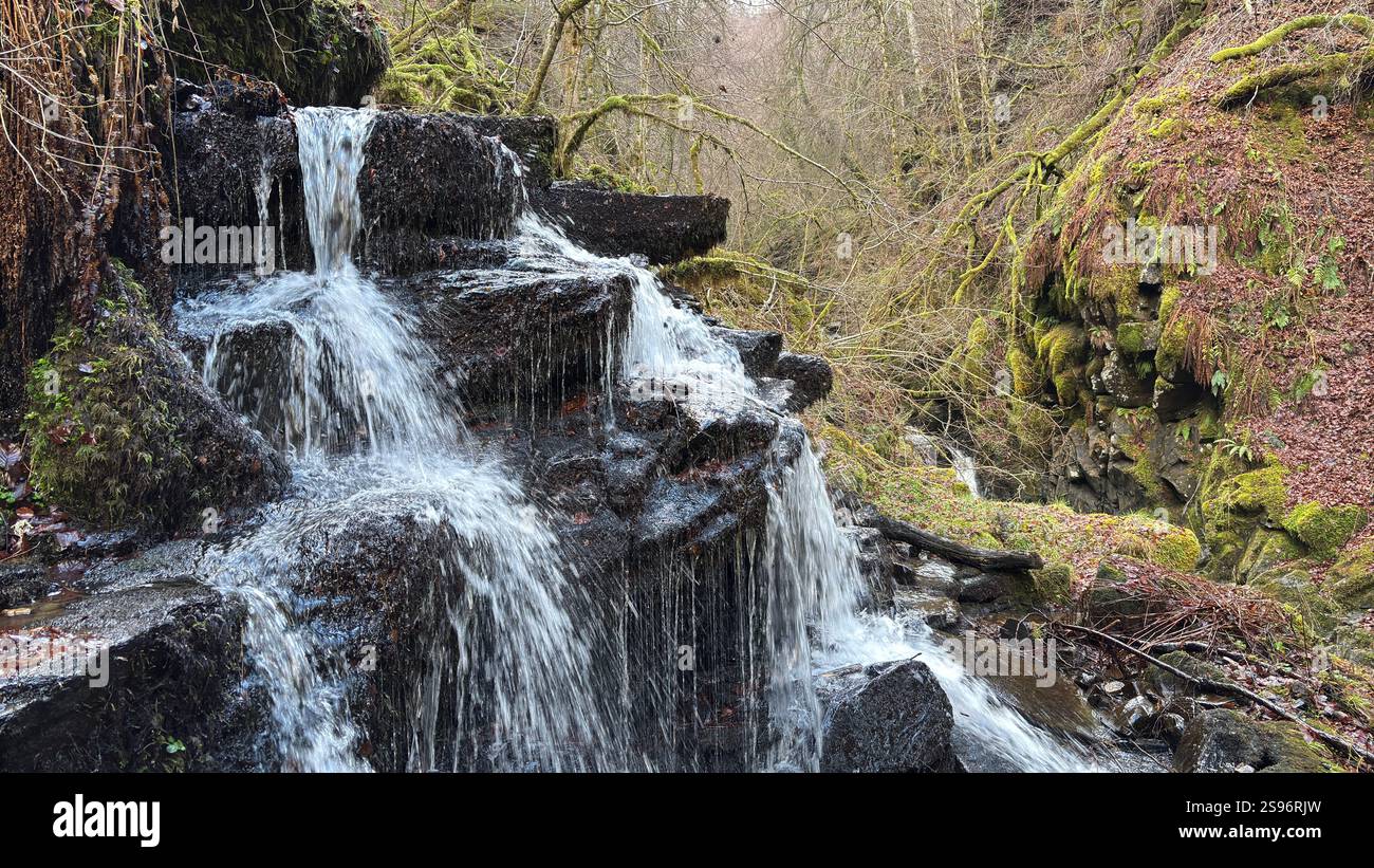 The Birks of Aberfeldy Famous Walk le long de Moness Burn où Robert Burns a écrit sa chanson d'amour écossaise en 1787. Destination touristique et emplacement naturel - Image de stock capturée avec un smartphone