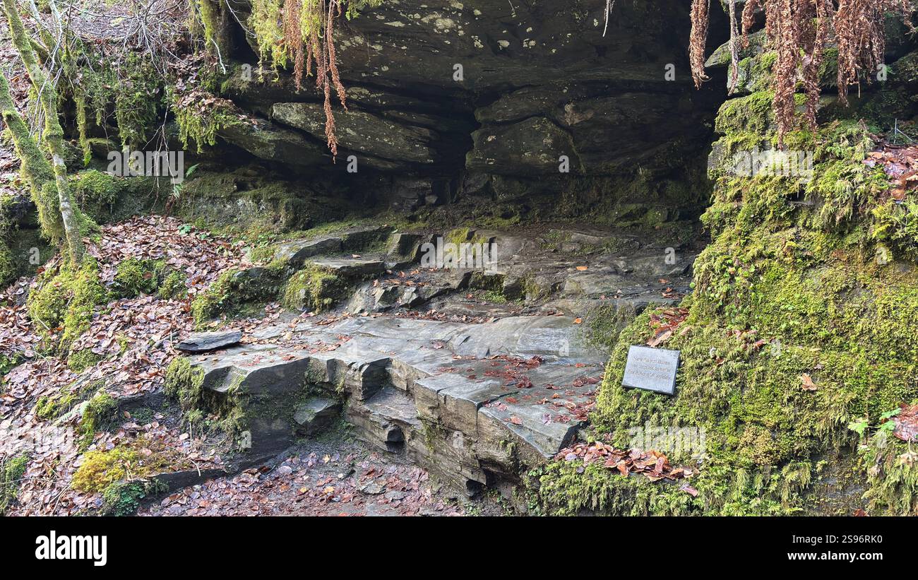 Grotte rocheuse naturelle où Robert Burns a écrit sa chanson d'amour écossaise en 1787, The Birks of Aberfeldy. Destination touristique et emplacement naturel. - Image de stock capturée avec un smartphone