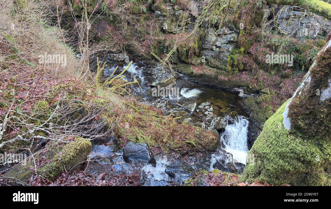 Les Birks of Aberfeldy célèbre promenade le long de la Moness Burn avec des cascades et des arbres anciens. Où Robert Burns a écrit sa chanson d'amour écossaise. magnifique - Image de stock capturée avec un smartphone