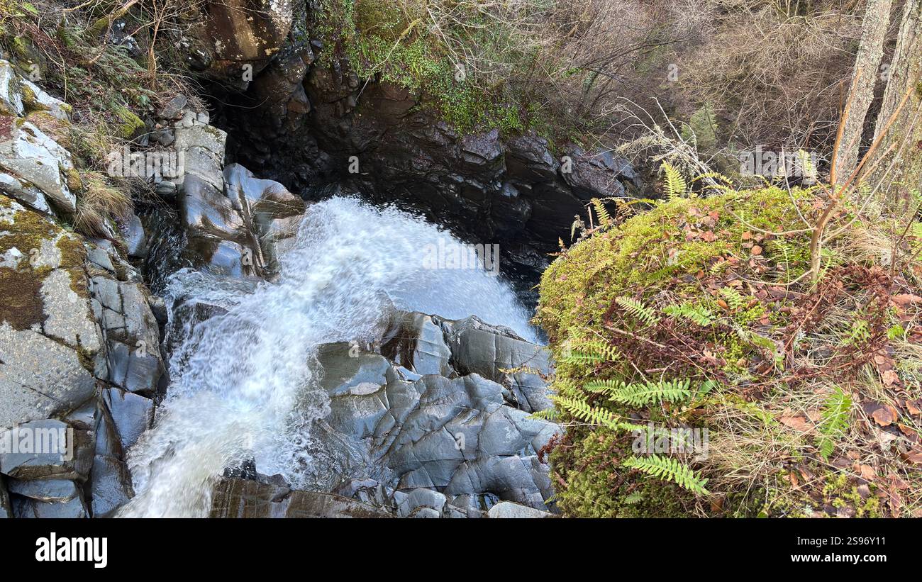 Les chutes de Moness à la célèbre promenade des Birks d'Aberfeldy le long du Moness Burn. Cascade et arbres anciens. Paysage couvert de mousse en Écosse - Image de stock capturée avec un smartphone
