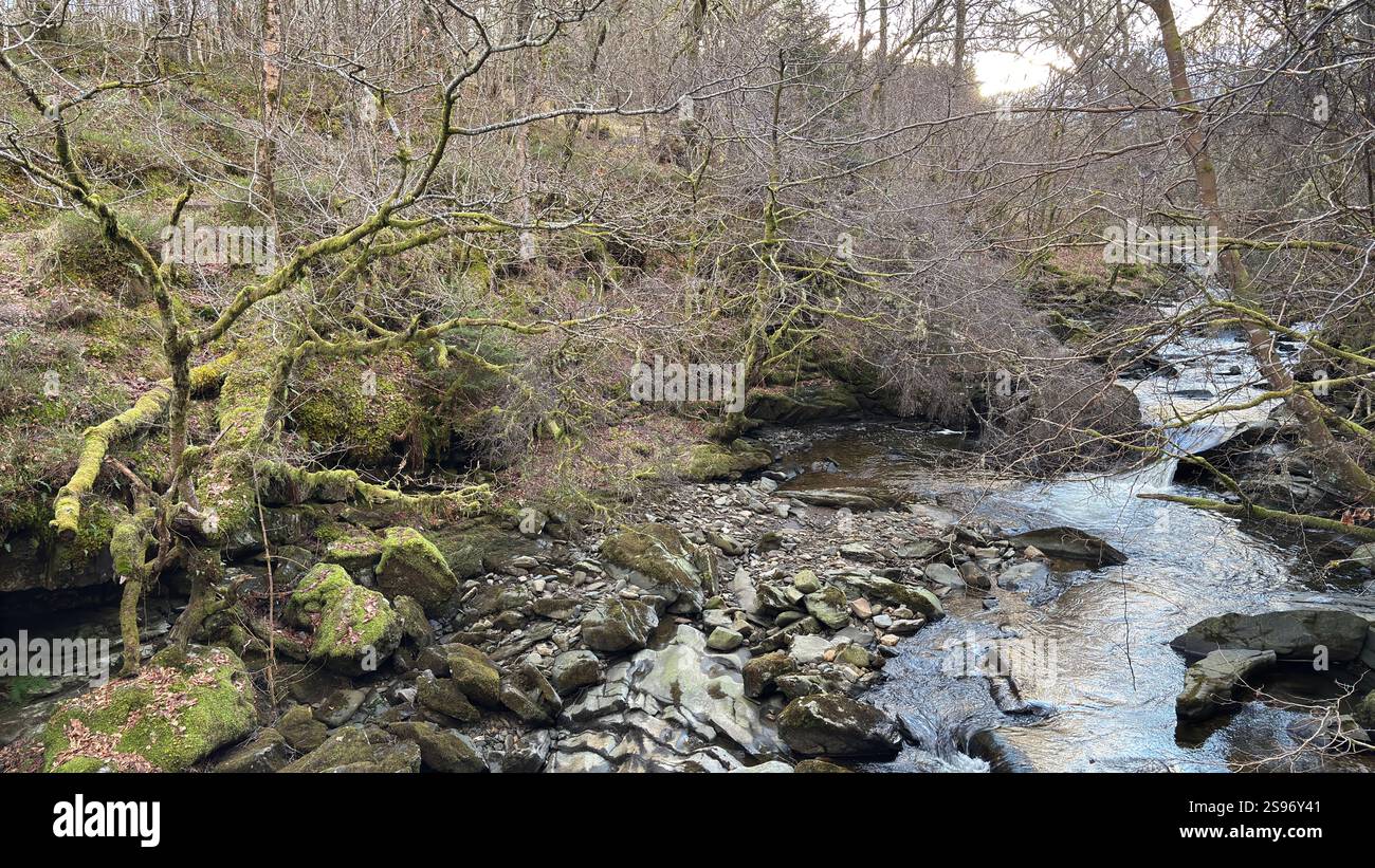 Les Birks of Aberfeldy célèbre promenade le long de la Moness Burn avec des cascades et des arbres anciens. Où Robert Burns a écrit sa chanson d'amour écossaise. magnifique - Image de stock capturée avec un smartphone