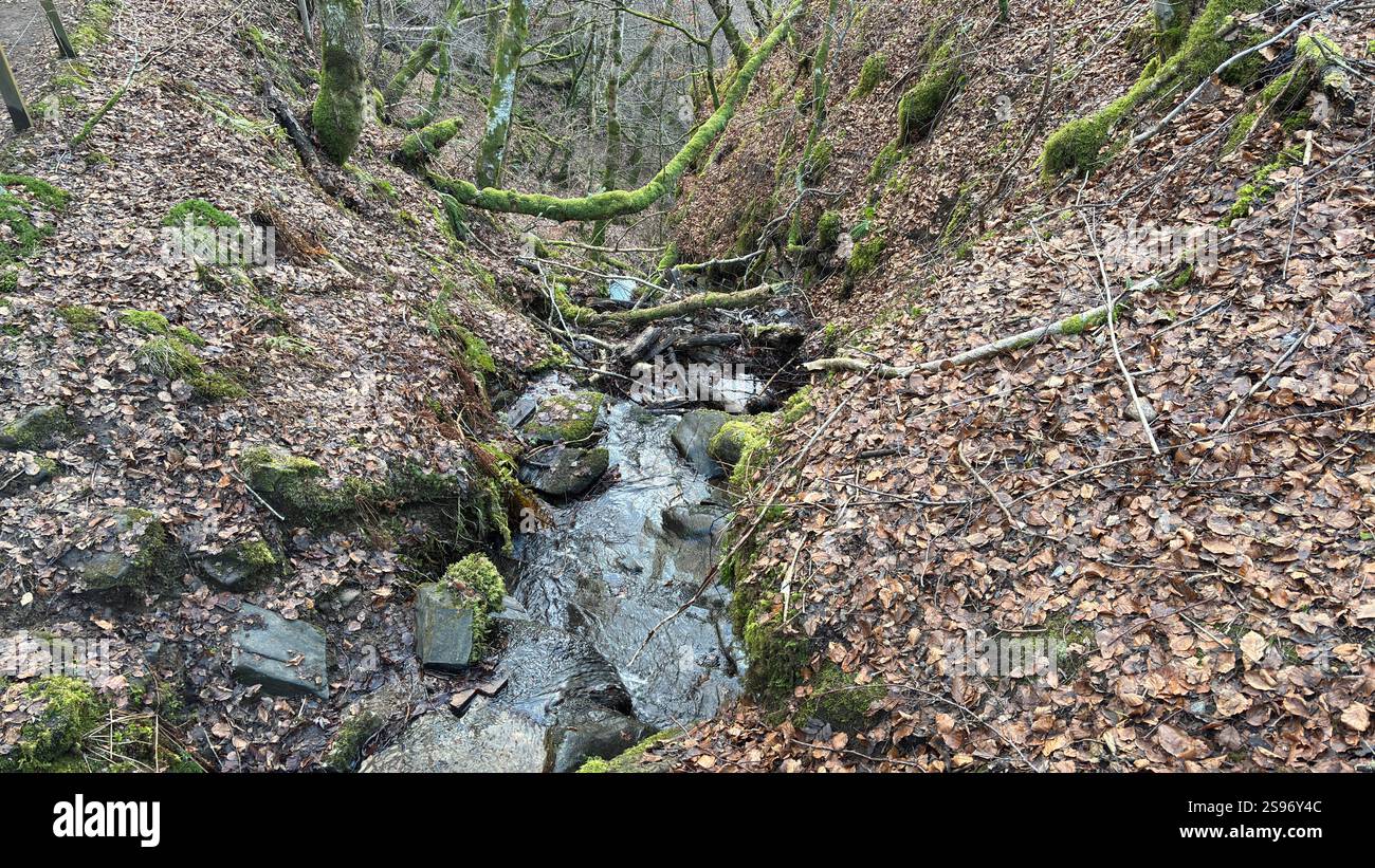 Les Birks of Aberfeldy célèbre promenade le long de la Moness Burn avec des cascades et des arbres anciens. Où Robert Burns a écrit sa chanson d'amour écossaise. magnifique - Image de stock capturée avec un smartphone