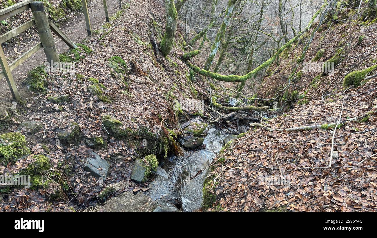 Les Birks of Aberfeldy célèbre promenade le long de la Moness Burn avec des cascades et des arbres anciens. Où Robert Burns a écrit sa chanson d'amour écossaise. magnifique - Image de stock capturée avec un smartphone