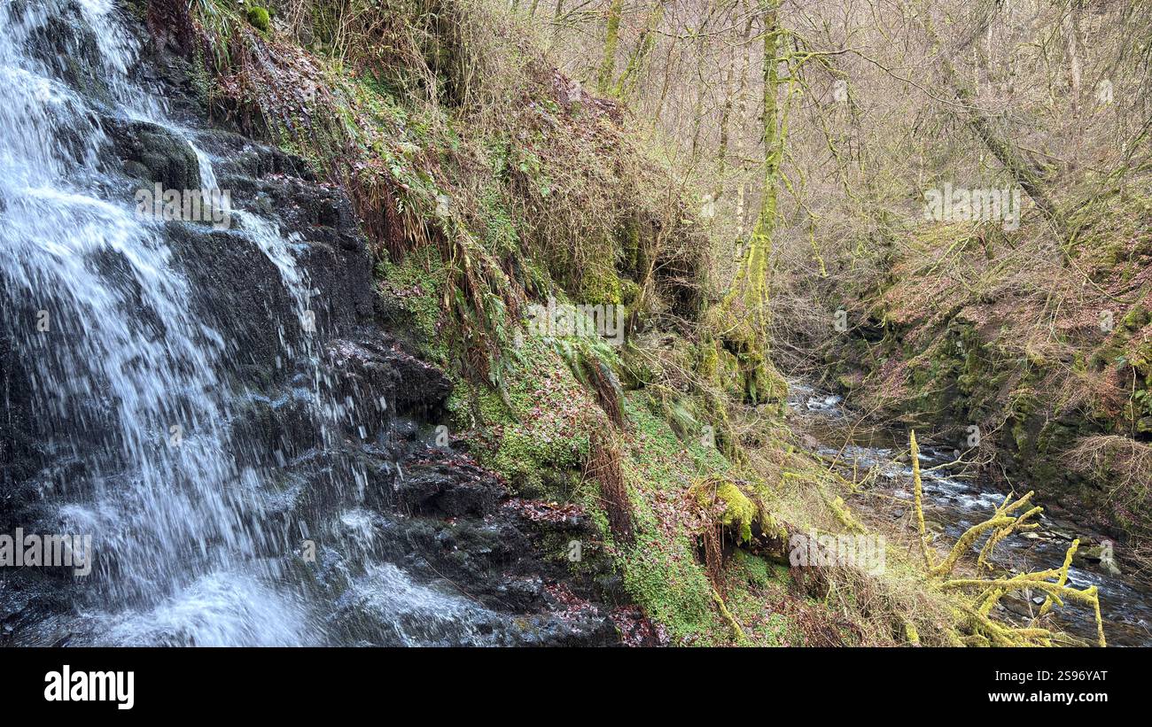 Les Birks of Aberfeldy célèbre promenade le long de la Moness Burn avec des cascades et des arbres anciens. Où Robert Burns a écrit sa chanson d'amour écossaise. magnifique - Image de stock capturée avec un smartphone