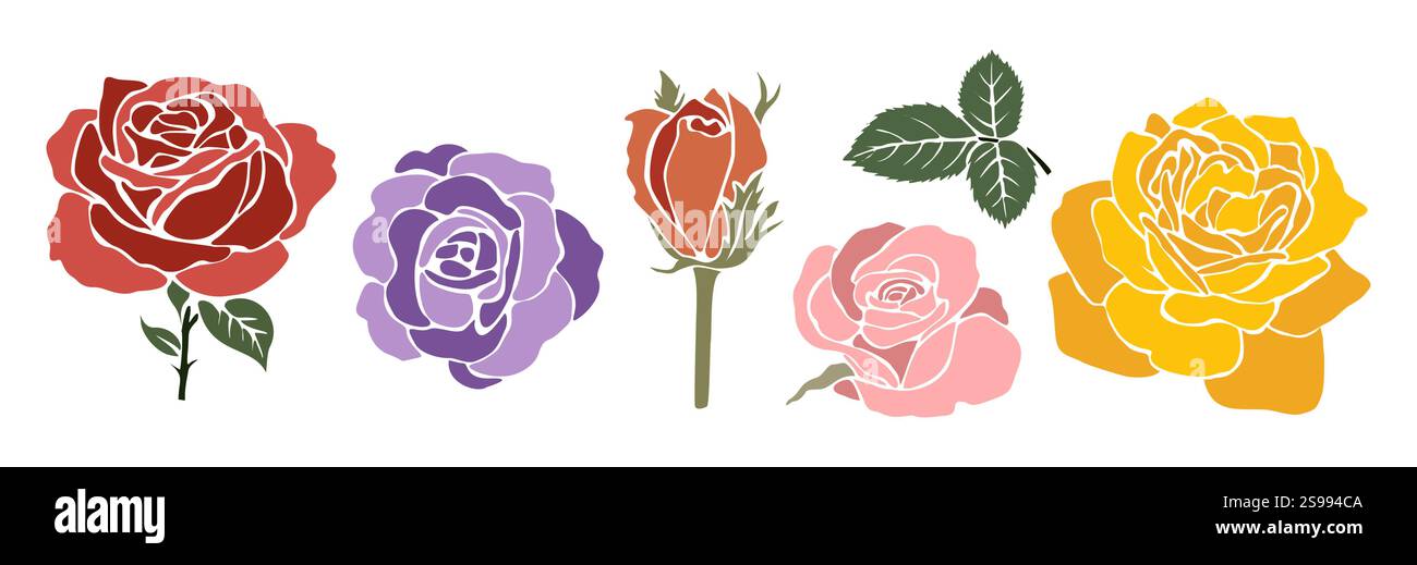 Ensemble de fleurs de rose avec différentes couleurs et taille Illustration de Vecteur