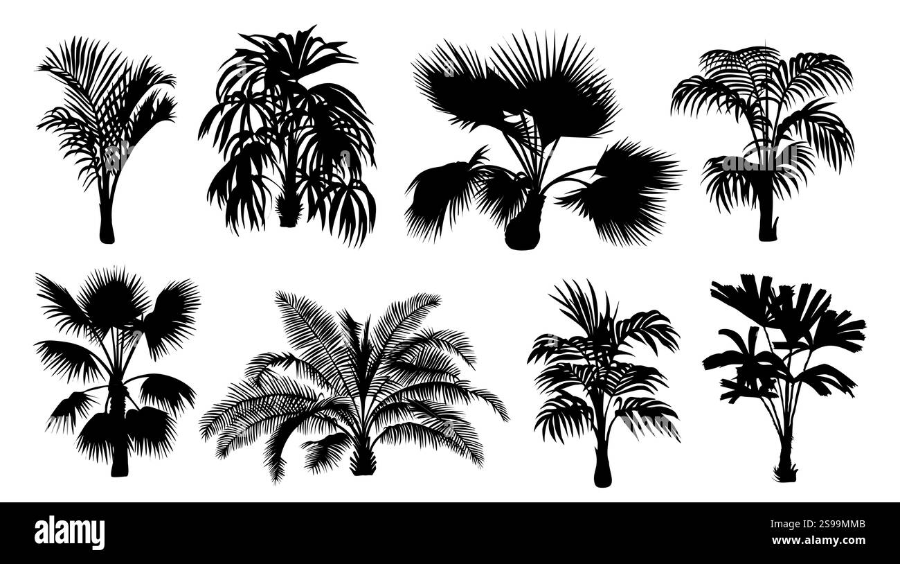 Ensemble de différentes silhouettes noires de palmier. Illustration de Vecteur