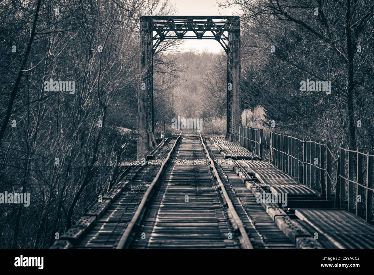 Photographie monochrome d'un vieux pont de chemin de fer, mettant en valeur sa structure métallique complexe et son charme industriel sur fond de forêt. Banque D'Images