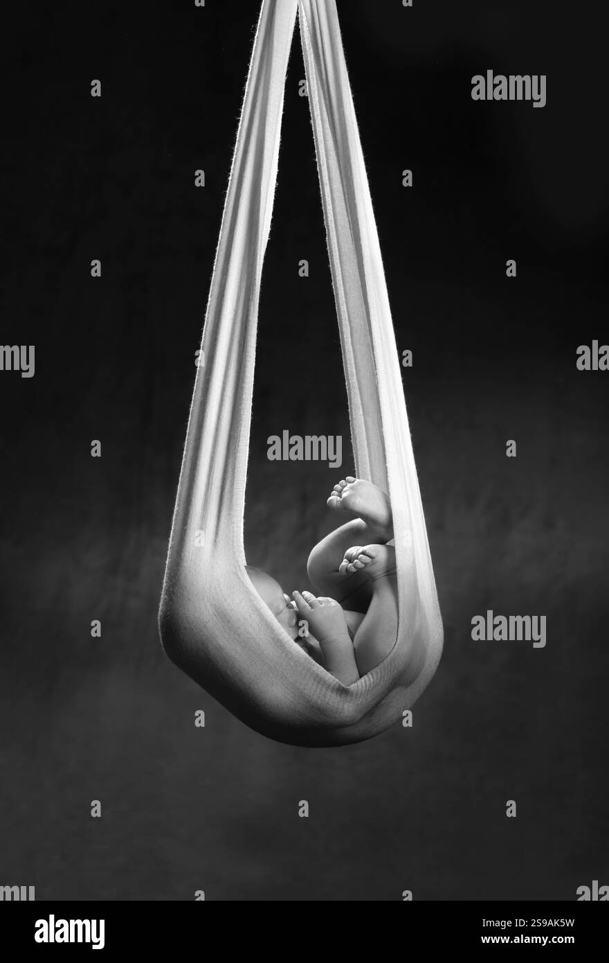 Colis de bébé de cigogne. bébé nouveau-né de 14 jours porté dans un tissu blanc sur fond noir. Prise de vue monochrome Banque D'Images