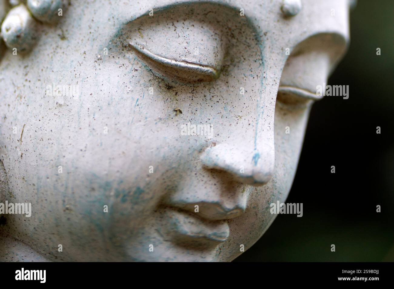 Gros plan extrême du visage d'un bouddha de jardin Banque D'Images