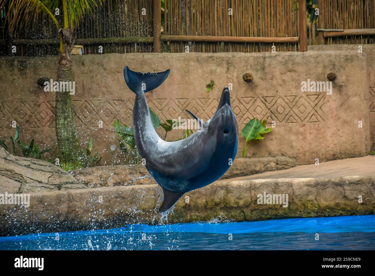 Ushaka monde marin un aquarium naufré à Durban Banque D'Images