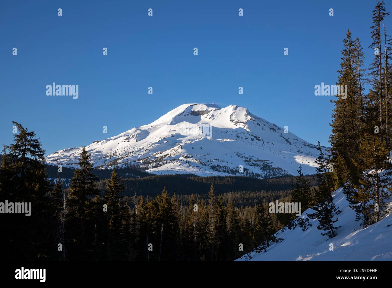 OR02695-00...... OREGON - South Sister Mountain depuis Cascade Lakes Highway enneigée. Banque D'Images