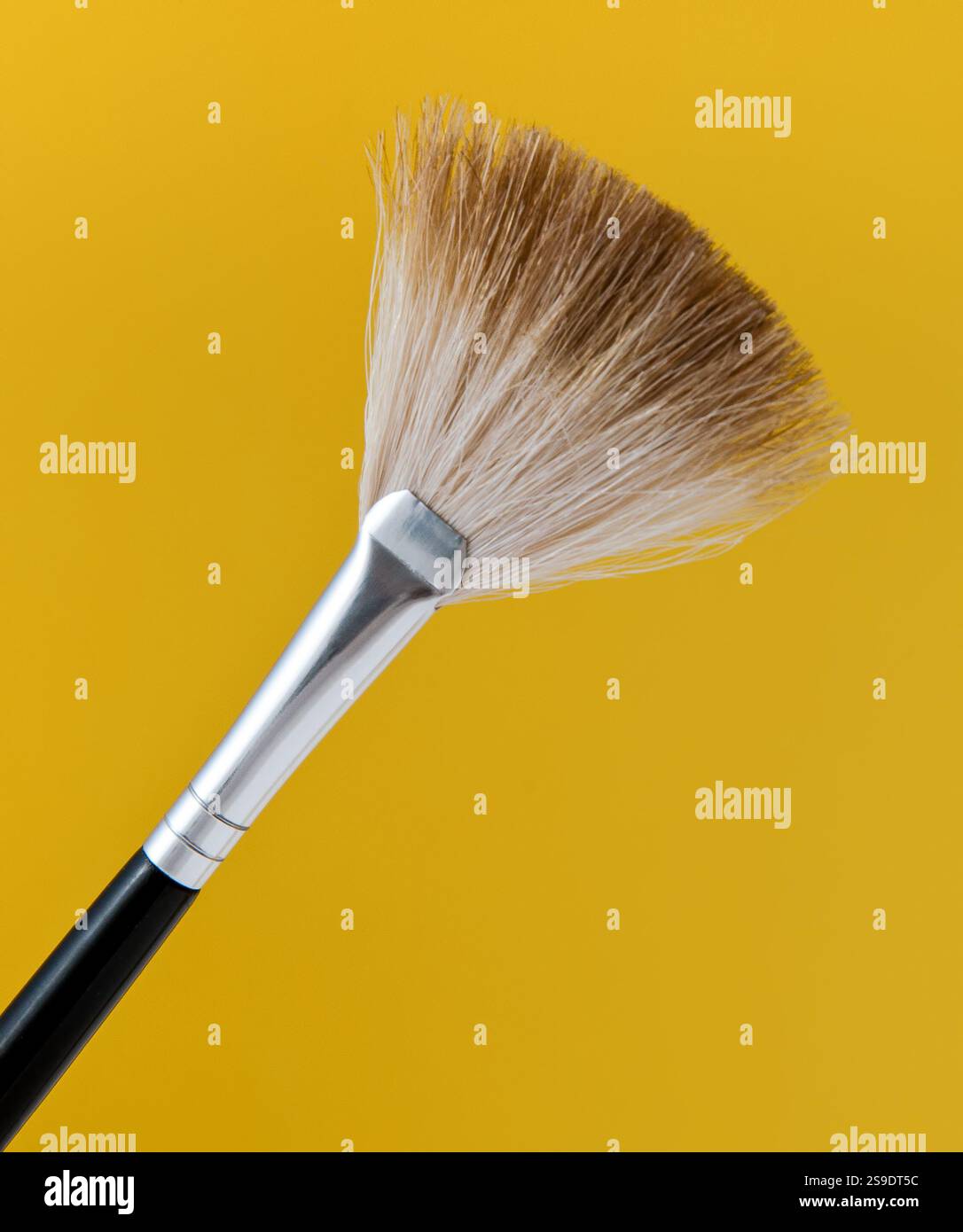 Une vue détaillée d'un pinceau de maquillage professionnel fan, mettant en valeur les poils et son manche métallique sur un fond jaune vif. Idéal pour la beauté, Banque D'Images