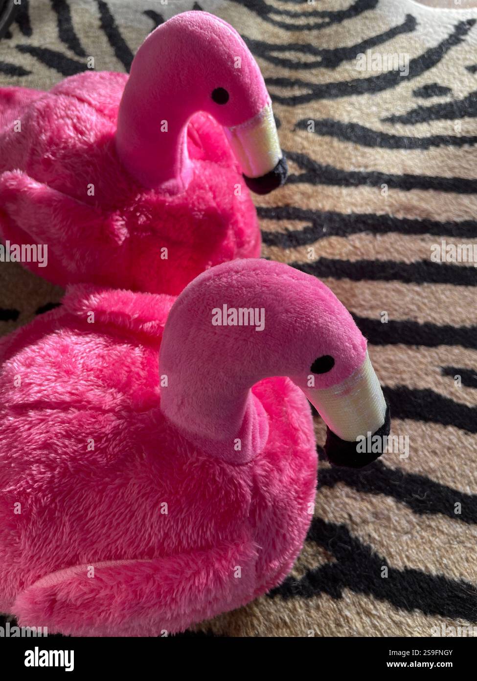 Pantoufles roses et vibrantes de flamant rose sur un tapis imprimé tigre, Still Alive, 2025, États-Unis - Image de stock capturée avec un smartphone