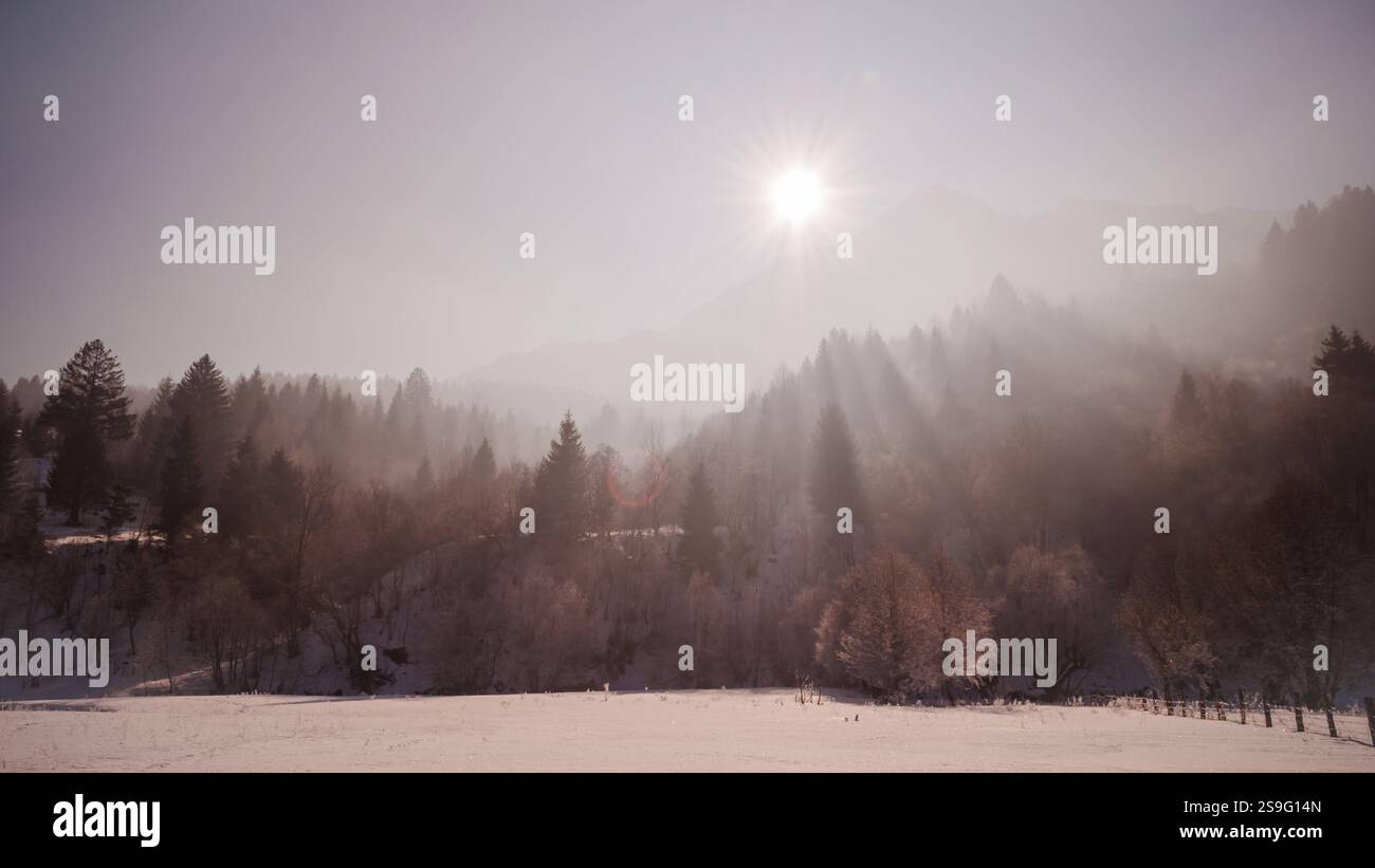 Un matin d'hiver serein avec le soleil se levant au-dessus de la forêt brumeuse, projetant des rayons chauds sur le paysage enneigé des montagnes Piatra Craiului. Th Banque D'Images