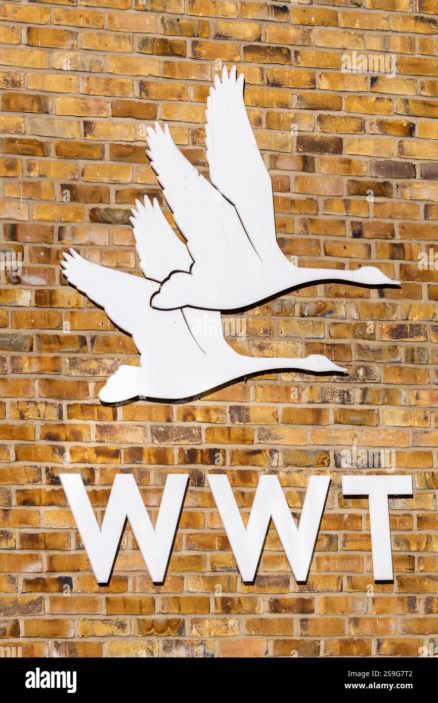 Logo WWT de cygnes en vol sur le mur au centre des visiteurs du Wildfowl and Wetlands Trust London Wildlife Centre à Barnes, Londres, Angleterre, Royaume-Uni Banque D'Images