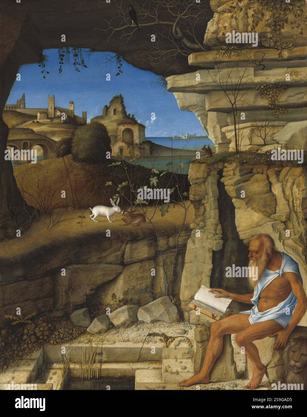 'Giovanni Bellini, Saint Jérôme lecture, 1505, huile sur panneau de tilleul, surface peinte : 47 x 37,5 cm (18 1/2 x 14 3/4 in.) support : 48,9 x 39,5 cm (19 1/4 x 15 9/16 po) Encadré : 62,9 x 52,9 x 6 cm (24 3/4 x 20 13/16 x 2 3/8 po), Collection Samuel H. Kress, 1939,1,217' Banque D'Images