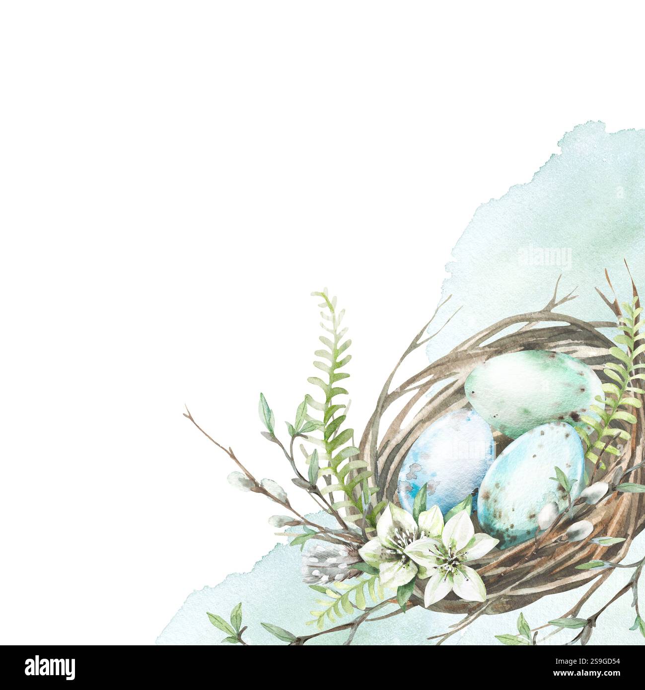 Composition d'aquarelle de Pâques avec nid, œufs, fleurs d'hellebore et feuilles de fougères. Banque D'Images