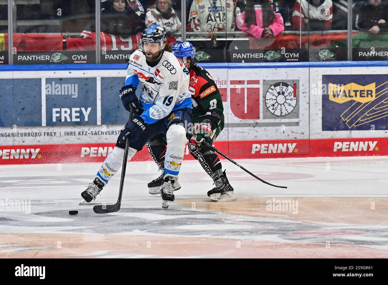 im Duell Wojciech STACHOWIKA (ERC Ingolstadt #19) und Kristian BLUMENSCHEIN (Augsburger Panhter #8) / Zweikampf / DEL : Augsburger Panther - ERC Ingolstadt, Curt Frenzel Stadion AM 26.01.2025 Banque D'Images