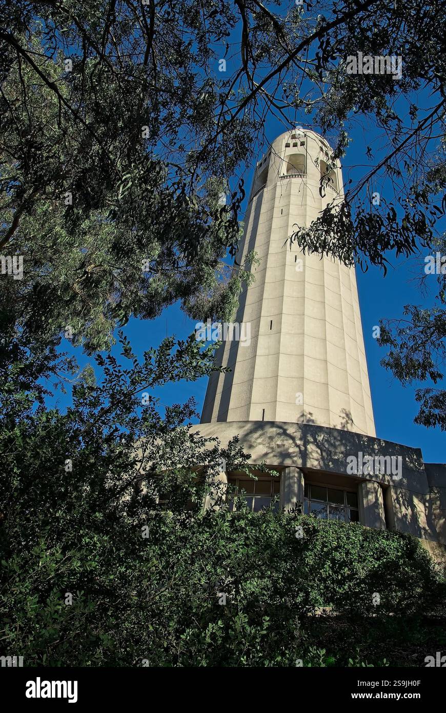 Coit Tower dans Pioneer Park sur Telegraph Hill à San Francisco en Californie Banque D'Images
