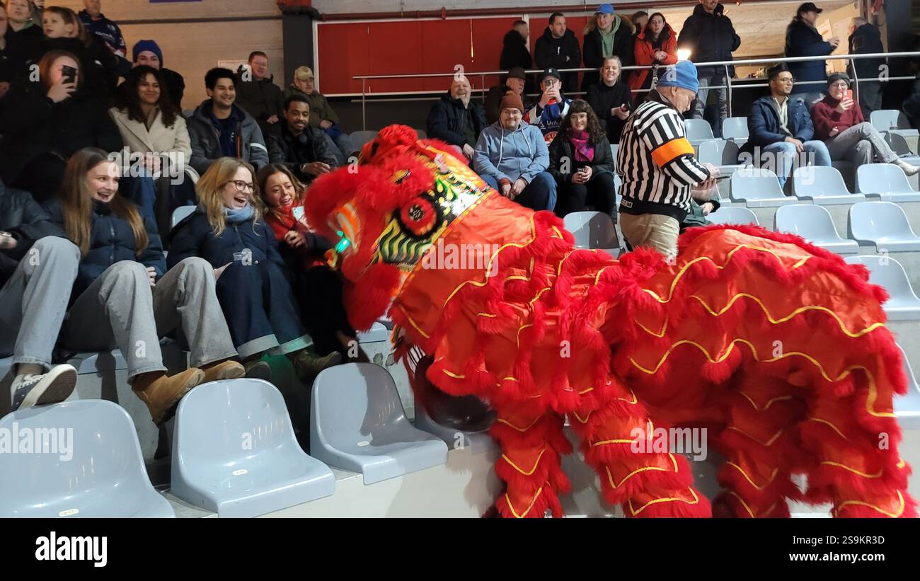 La Haye, pays-Bas. 24 janvier 2025. Les spectateurs interagissent avec des artistes de danse du lion depuis les tribunes de la patinoire de hockey sur glace du de Uithof Sports Center à la Haye, aux pays-Bas, le 24 janvier 2025. Le choc retentissant des gongs et des tambours a fait écho à l'arène de hockey sur glace de la Haye vendredi soir alors qu'une danse du lion animée a captivé les spectateurs néerlandais lors de la célébration du « Happy Spring Festival ». ALLER AVEC 'la danse du lion déclenche des échanges culturels dans l'arène de hockey sur glace néerlandaise' crédit : Wang Xiangjiang/Xinhua/Alamy Live News Banque D'Images