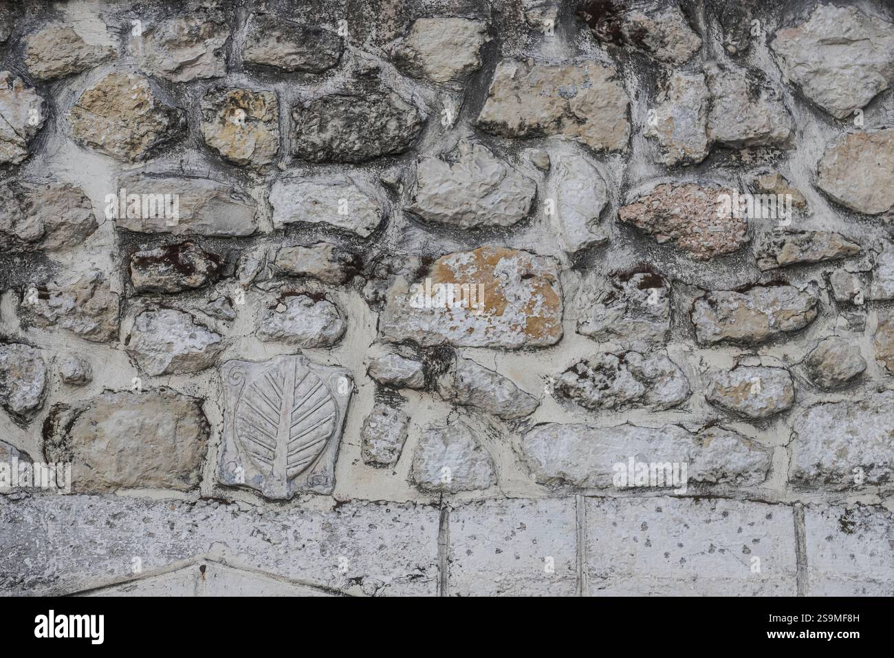 Une vue rapprochée d'un mur de pierre altérée en Albanie avec un motif de feuilles sculptées parmi les pierres rugueuses et inégales, mettant en évidence l'histoire locale et l'artisanat Banque D'Images