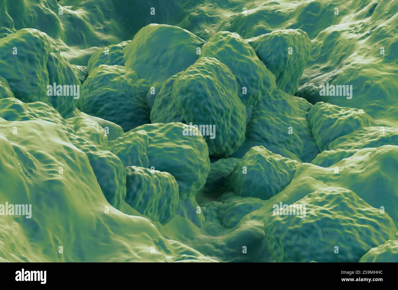 Cluster de polymères super absorbants médicaux (SAP) - vue rapprochée de l'illustration 3D Banque D'Images