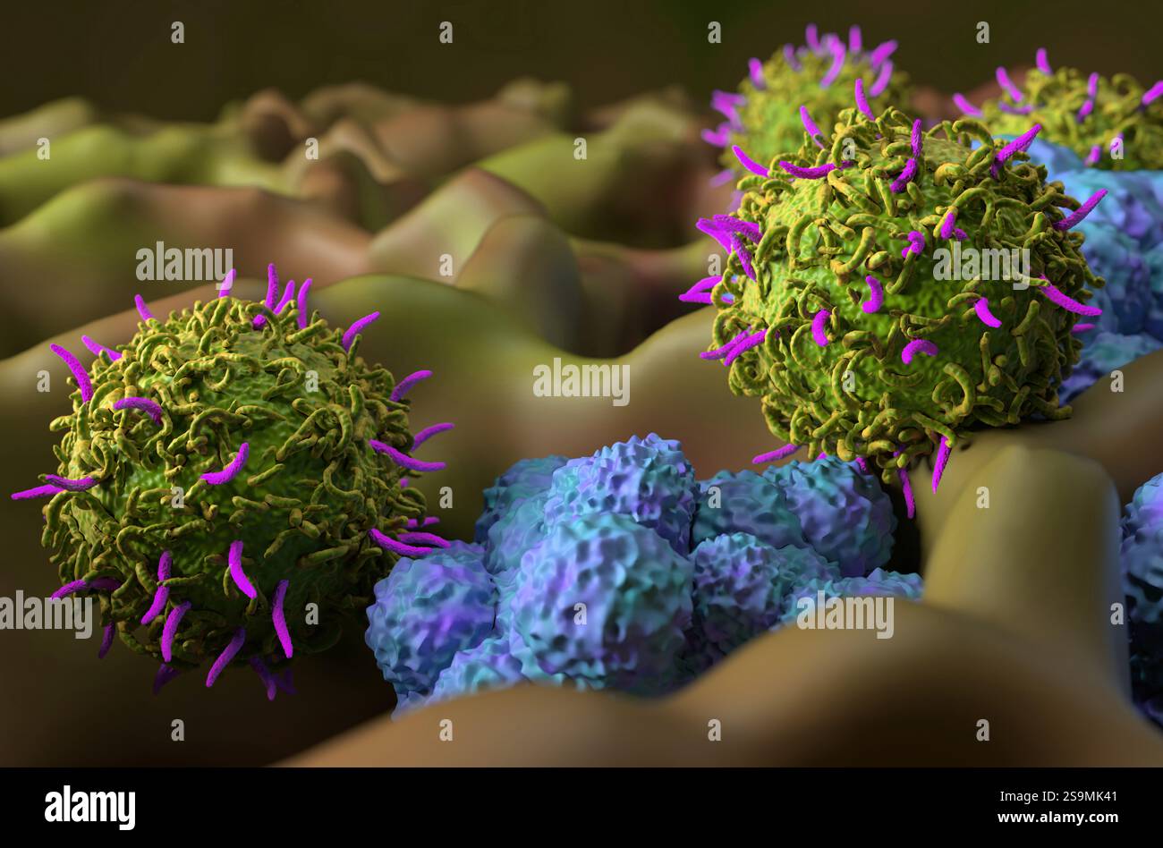 CAR T thérapie cellulaire dans le cancer du poumon (LC) - gros plan vue 3D. Banque D'Images