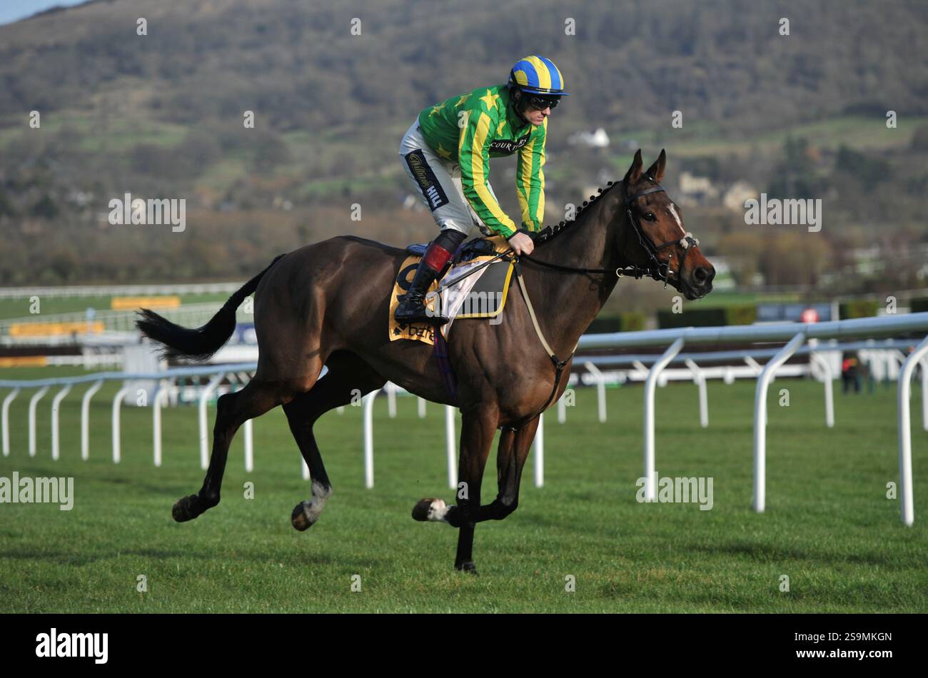 Courses hippiques à l'hippodrome de Cheltenham. Festival Trials Day, le dernier samedi de janvier. Course 3, 1,50 le Betfair Exchange handicap Chase déchiré Banque D'Images