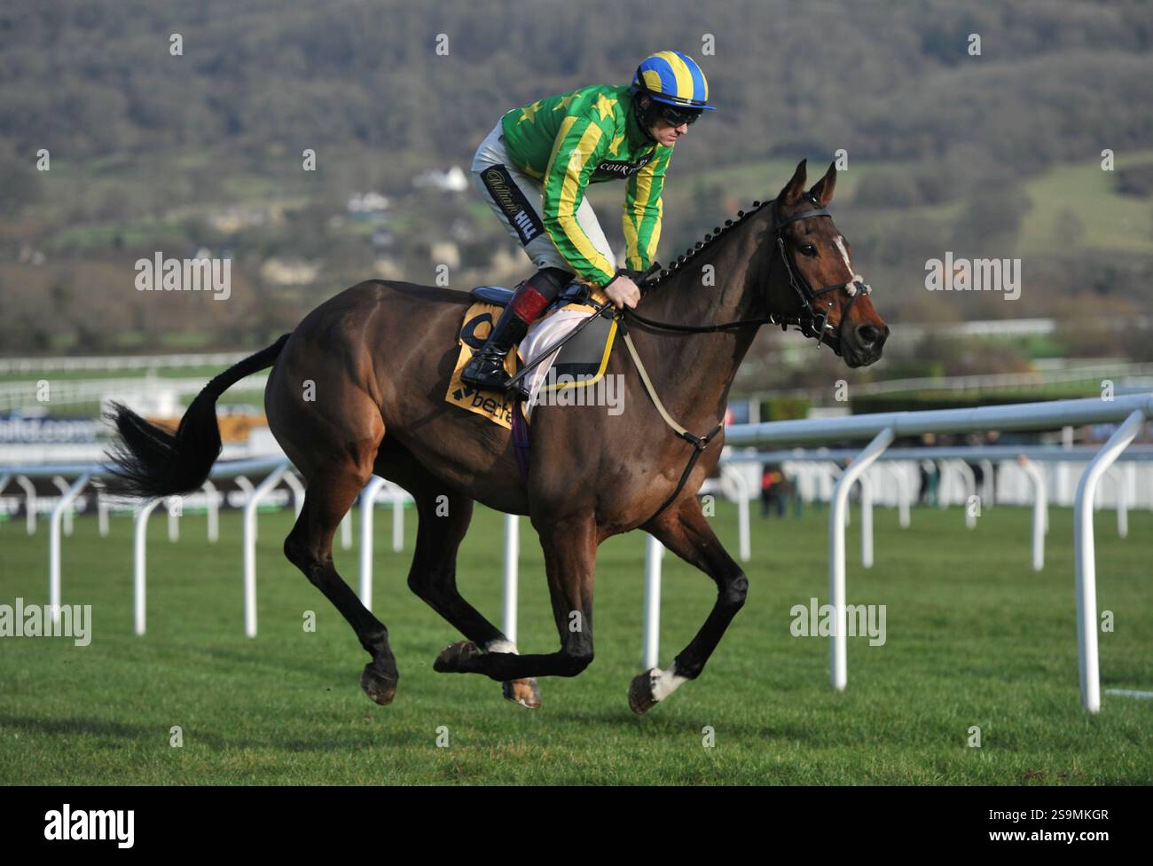 Courses hippiques à l'hippodrome de Cheltenham. Festival Trials Day, le dernier samedi de janvier. Course 3, 1,50 le Betfair Exchange handicap Chase déchiré Banque D'Images