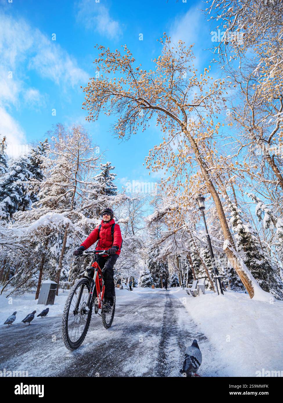 Un cycliste traverse un parc d'hiver tôt le matin. L'homme porte une veste rouge, un casque. Transport écologique dans la ville Banque D'Images