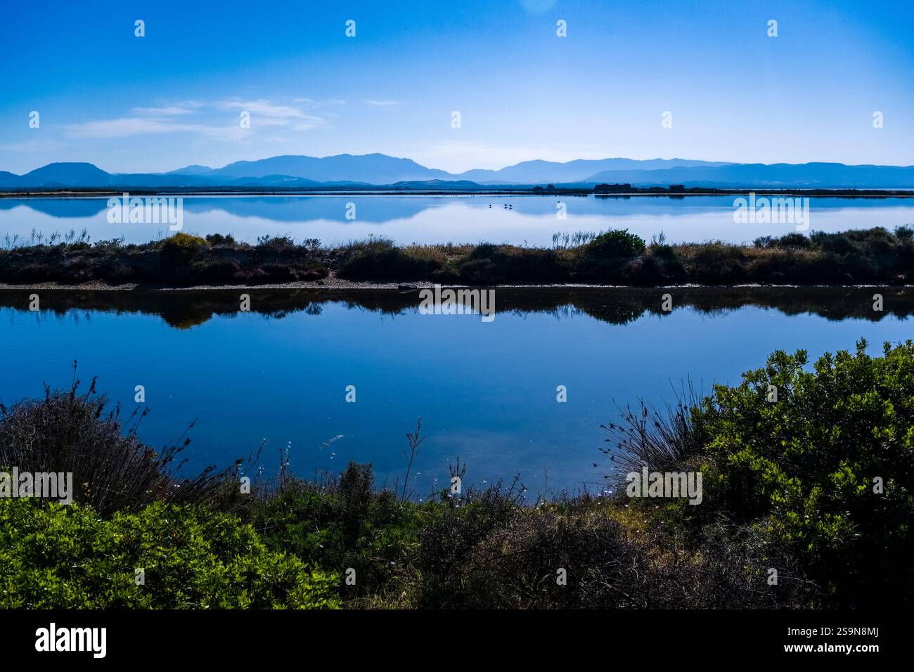 Paysage avec des marais salants, des buissons et des flamants roses debout dans l'eau peu profonde, en dehors de la ville côtière de Sant'Antioco. Banque D'Images