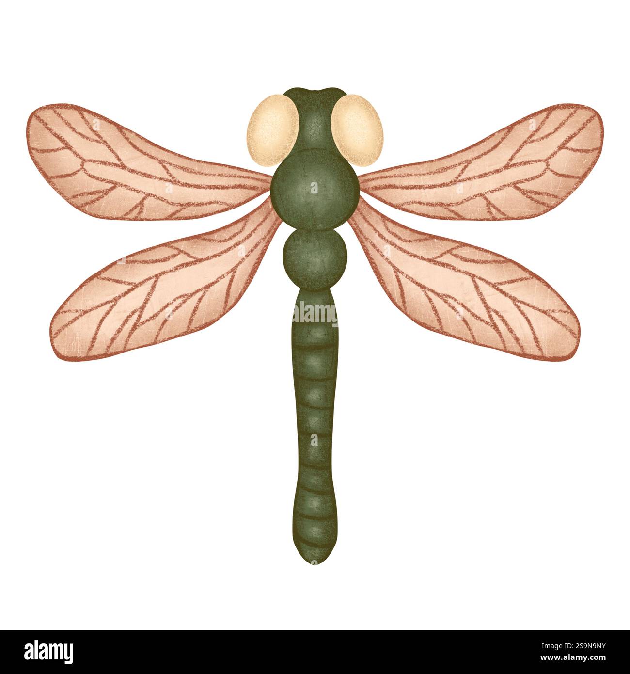Illustration de bande dessinée isolée de libellule verte sur fond blanc. Pour impression Banque D'Images