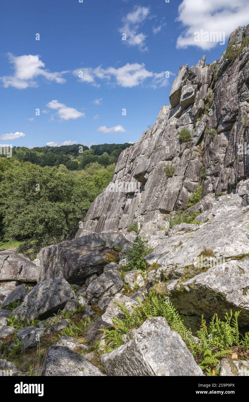 Le canyon la fosse d'Arthour, formé par la rivière la Sonce, Domfront-en-Poiraie, Département de l'Orne, parc naturel régional Normandie-Maine, Normandie Banque D'Images