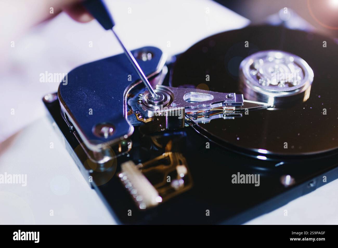 Un tournevis interagit avec les éléments internes d'un disque dur ouvert Banque D'Images