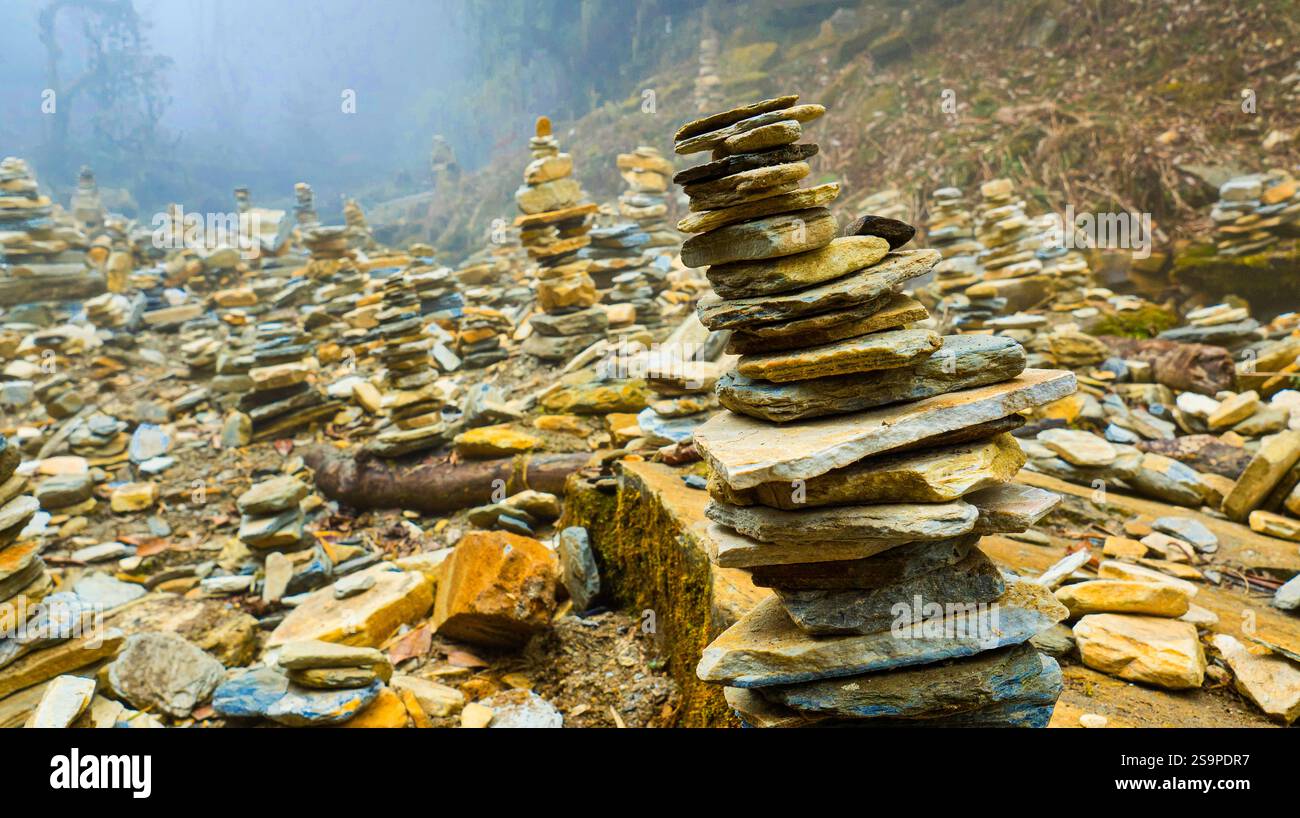 Pierres empilées de la rivière, sentier de la forêt montagneuse, camp de base de Trek à Annapurna, zone de conservation d'Annapurna, Himalaya, Népal, Asie Banque D'Images