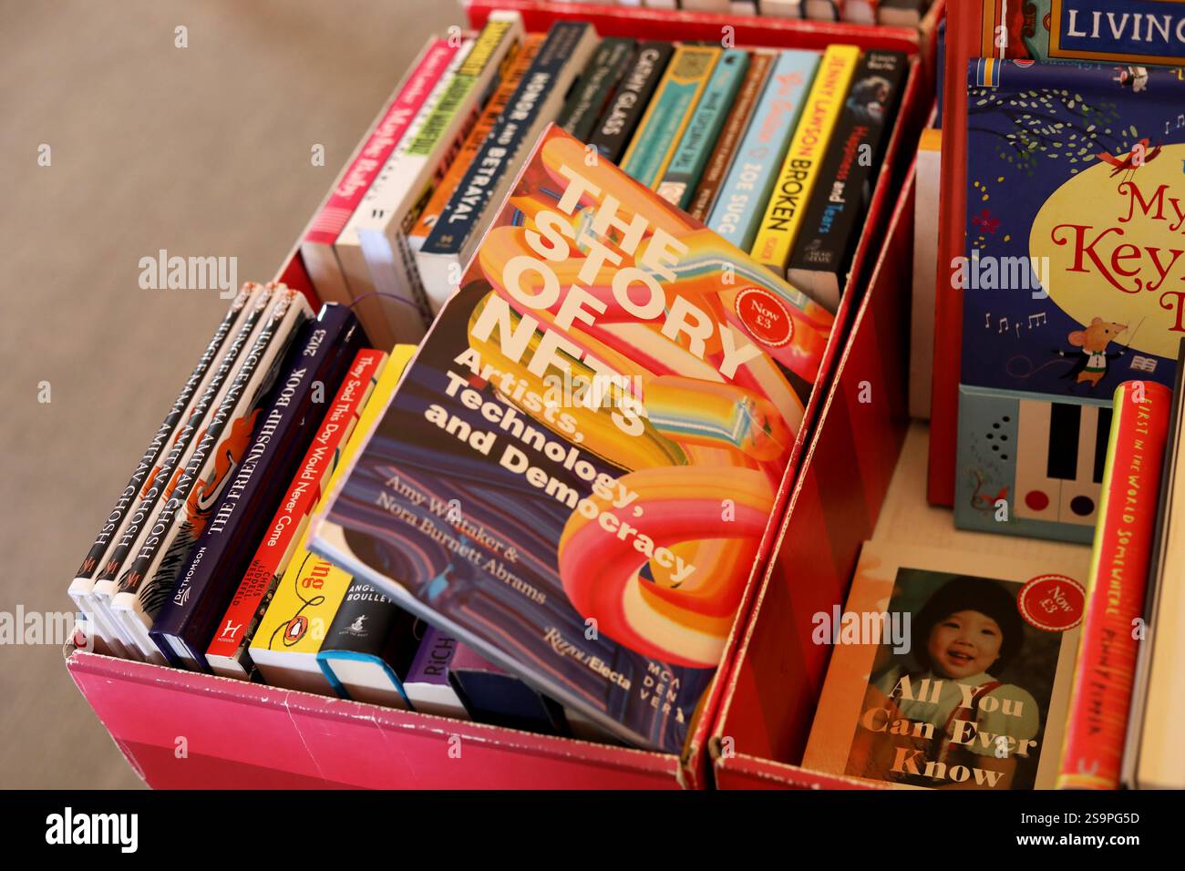 L'histoire du livre NFTS photographié dans le bac de vente de Waterstones à Chichester, West Sussex, Royaume-Uni. Banque D'Images