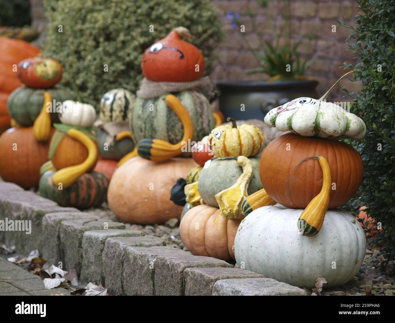 Figures humoristiques de citrouille sur un trottoir dans un jardin, borken, muensterland, allemagne Banque D'Images