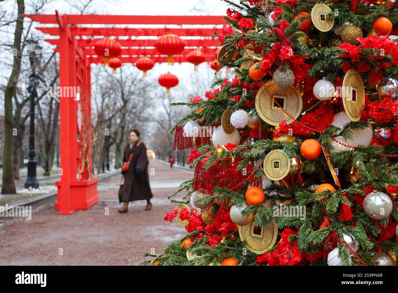Décorations chinoises festives, lanternes de papier rouge, pièces de monnaie de jouet et mandarines sur un sapin dans le parc de la ville sur fond de femme floue. Célébrité du nouvel an lunaire Banque D'Images