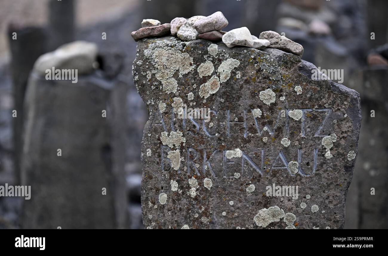 Weimar, Allemagne. 27 janvier 2025. Une pierre commémorative avec l'inscription 'Auschwitz Birkenau' au Mémorial de Buchenwald. C'est le jour du souvenir des victimes du national-socialisme. Le 27 janvier 1945, le camp de concentration d'Auschwitz est libéré par les troupes soviétiques. Crédit : Martin Schutt/dpa/Alamy Live News Banque D'Images